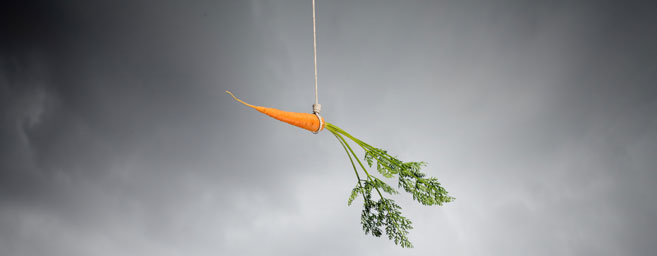 carrot